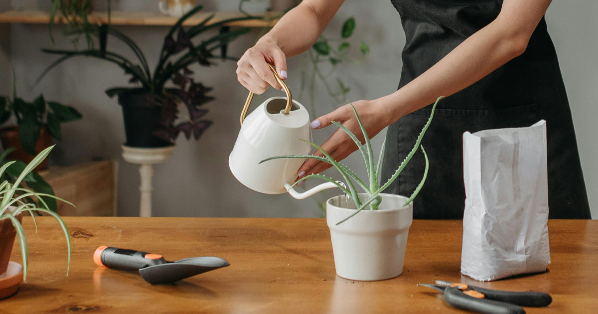 Endowments & Foundations: Optimizing Asset Allocation and Navigating Market Challenges